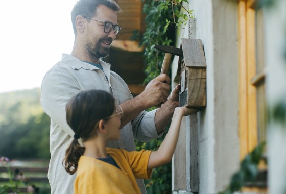 Our DIY expert weighs in on the best Father's Day gifts for DIY dads