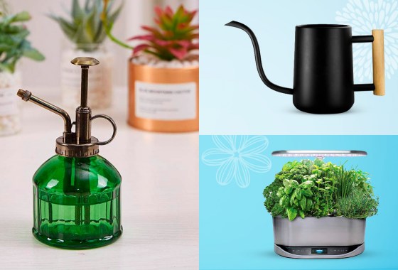 Best Mother’s Day gifts for plant lovers