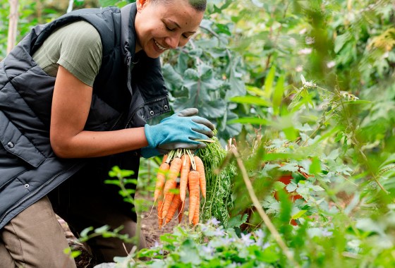 What to plant in April: Best vegetables and flowers to grow