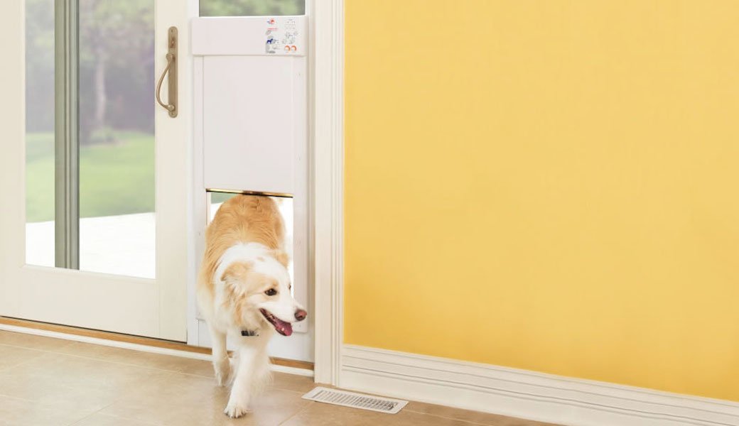 5 Best Pet Doors Mar. 2018 BestReviews