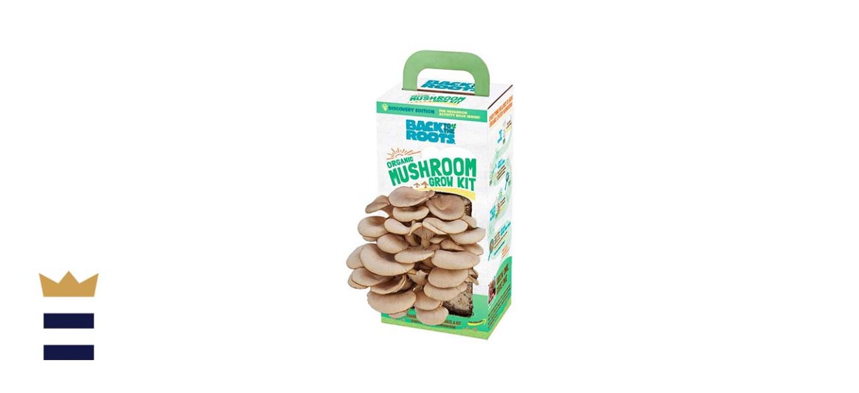 Back To The Roots Organic Mushroom Growing Kit