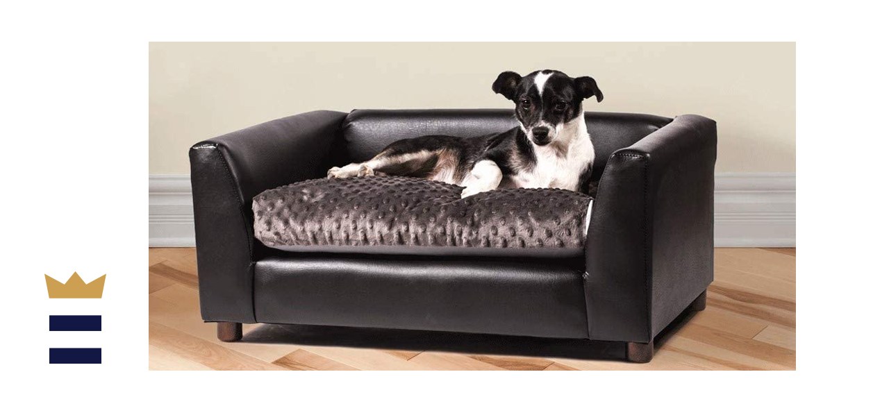 keet dog sofa