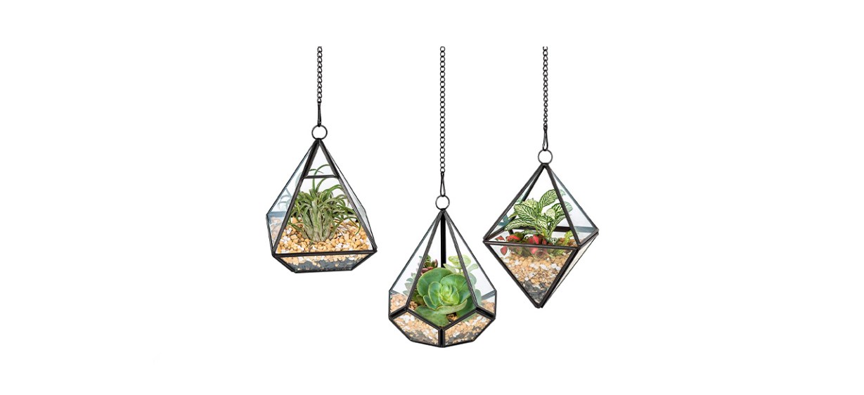 Best Mkono 3 Small Hanging Glass Terrariums Best Mkono 3 Small Hanging Glass Terrariums