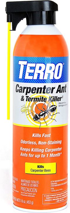 Terro T1901-6 Ready to Use Indoor Carpenter Ant & Termite Killer Spray