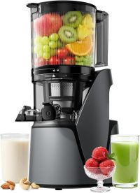 EanOruus 3-in-1 Cold Press Juicer