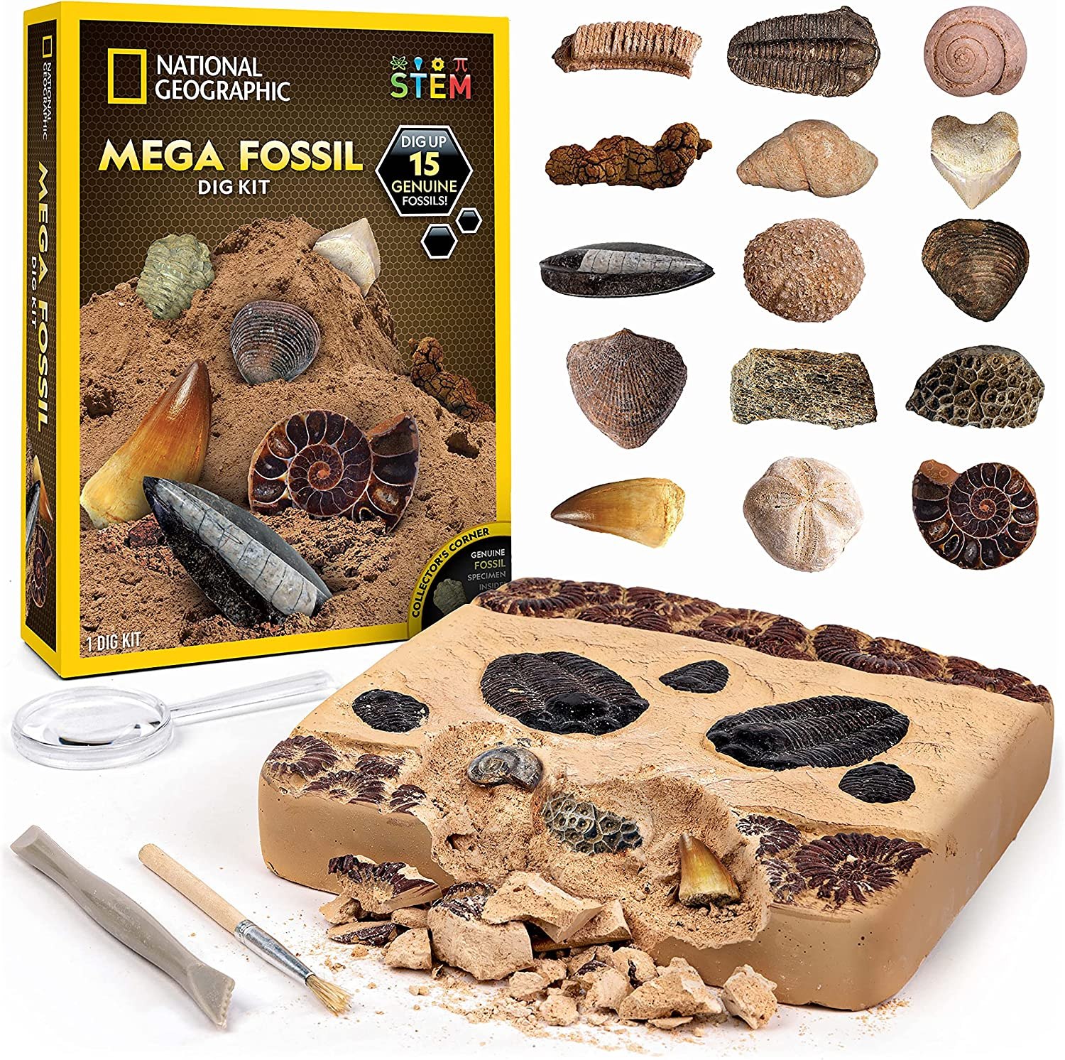 National Geographic  Fossil Kit
