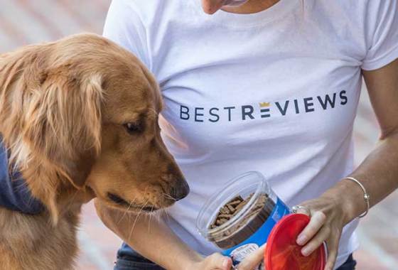 Best Freeze-Dried Dog Treats