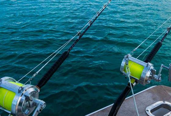 Best Trolling Rods