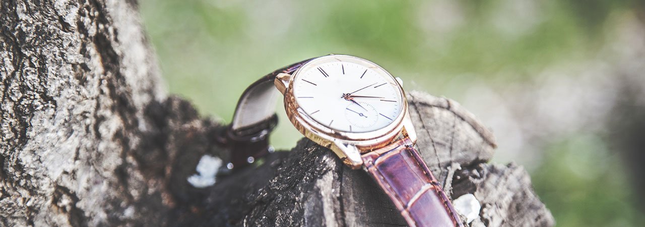 5 Best Men's Minimalist Watches - Aug. 2022 - BestReviews