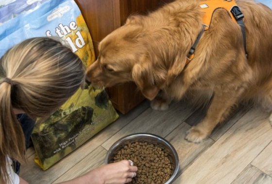 Best Low-Fat Dog Food