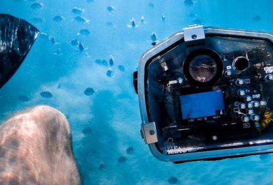 Best Waterproof Cameras