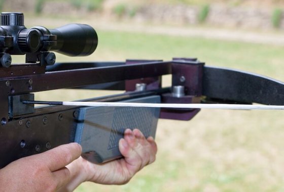 Best Crossbows