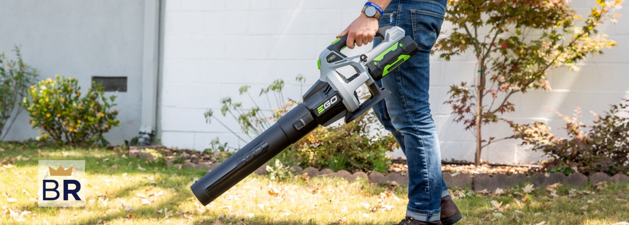 5 Best Cordless Leaf Blowers (2024 Guide) - This Old House