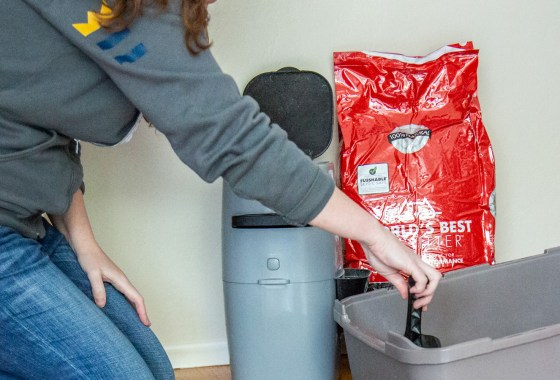 Best Biodegradable Cat Litter