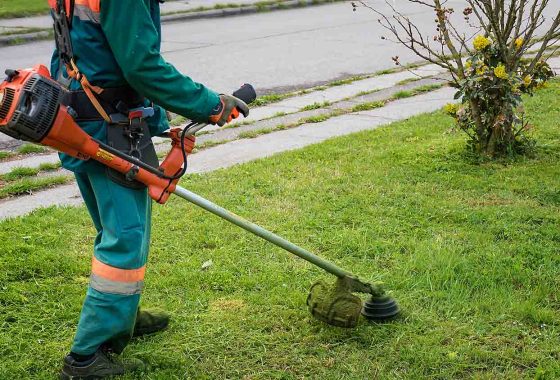 Best Gas Weed Eaters