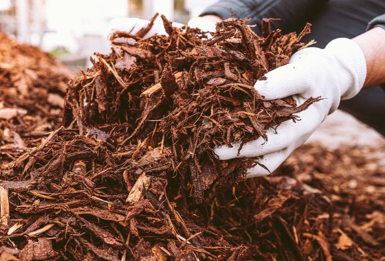 First time mulching in the fall? Here’s what you need to know