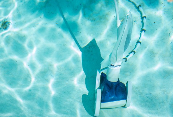 Dolphin vs. Polaris pool cleaners: Which brand is best?