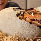 Primal Hatch is the next holiday fad — and it’s flying off shelves