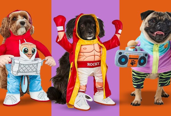 The most hilarious dog Halloween costumes of the season