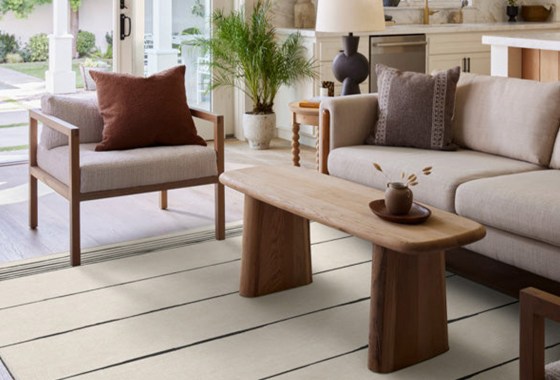 The Home Edit’s new rug collection was made to be easy to clean