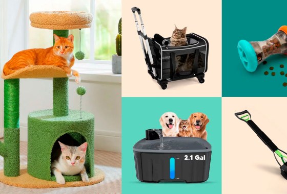 Pet products rule Walmart’s Flash Deals this week