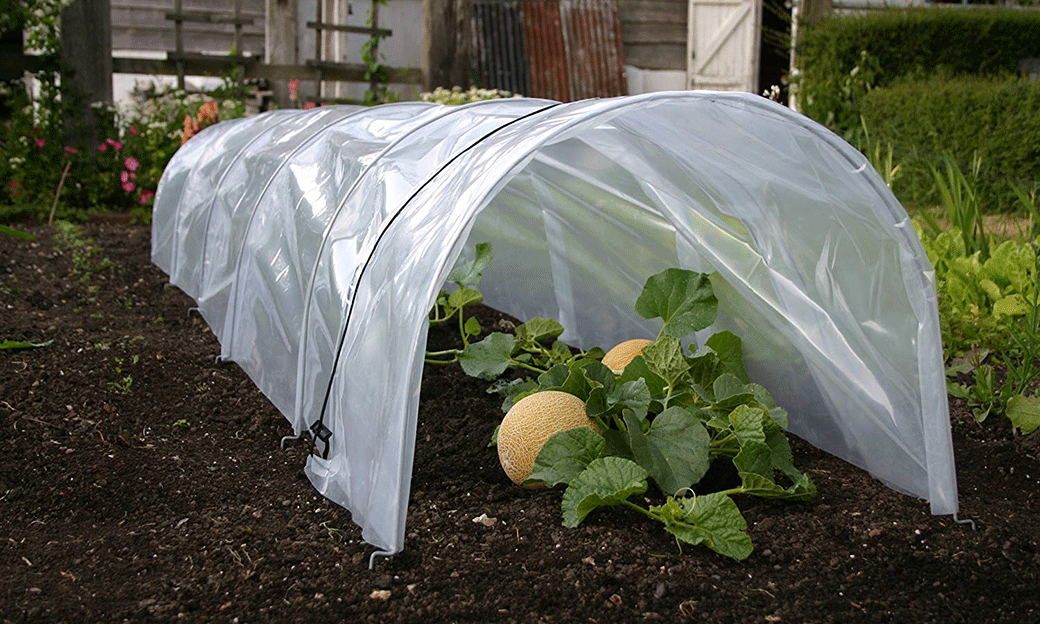 5 Best Plant Covers Aug. 2021 BestReviews