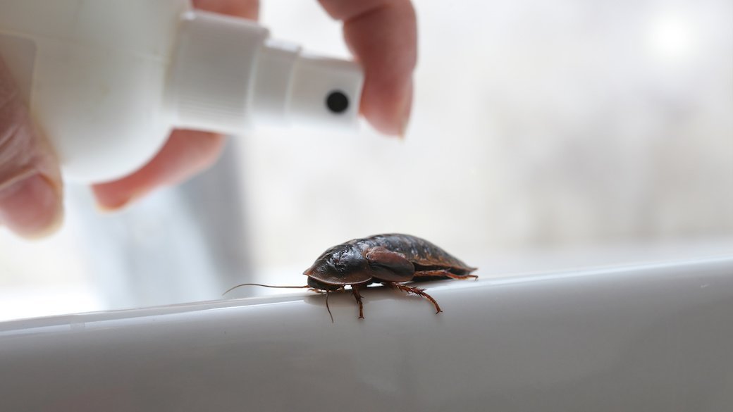 Ortho Home Defense Roach Traps with Bait Tablets, Cockroach Killer