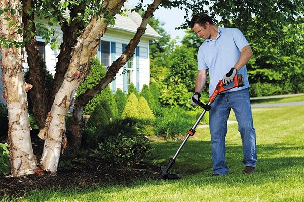 BLACK+DECKER Electric Trimmer/Edger, Corded, 3.5 amp, 12-Inch  (ST4500) : String Trimmers : Patio, Lawn & Garden