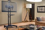 Mobile TV Carts 