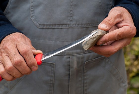 Best boning knife for outdoor use