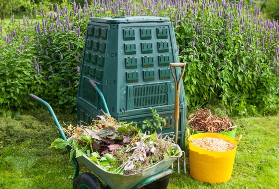 Best composter for fall leaves