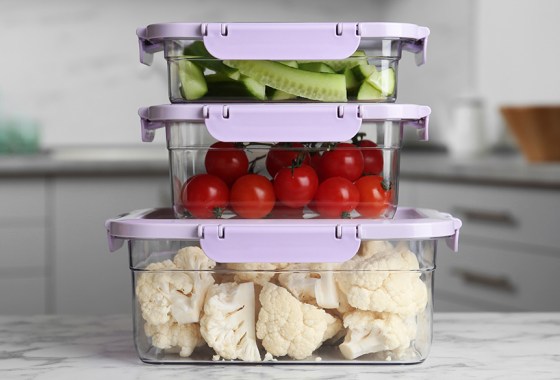 Best large food storage container