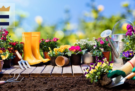 What do you need for spring gardening?