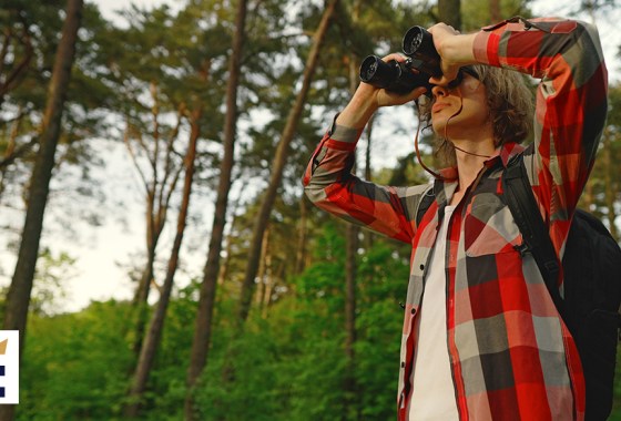 Best cheap binoculars