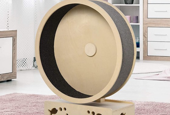 Best cat exercise wheel
