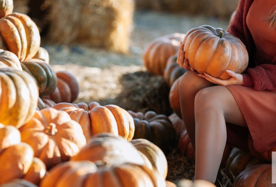 Best fall casual dress