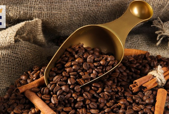 Best coffee scoop