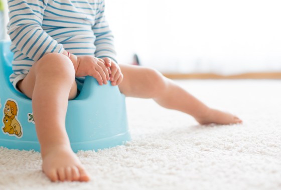 Best potty watch