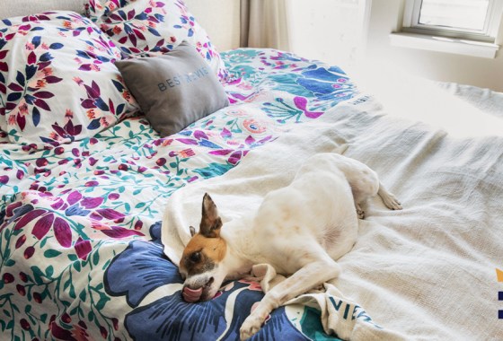 Best boho comforter set