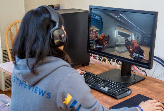 Asus gaming monitor vs. LG gaming monitor