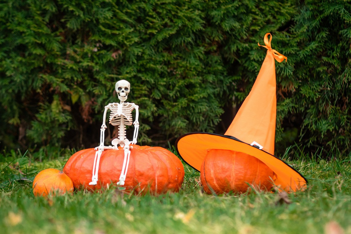 a skeleton sitting on top of a giant pumpkin