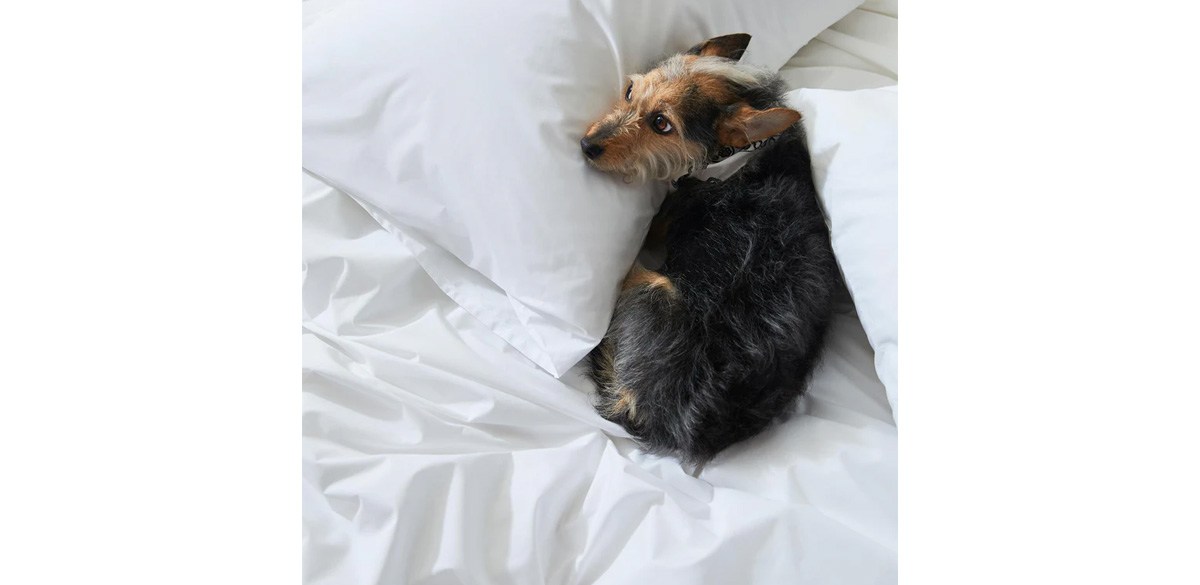 Classic Percale Core Sheet Set