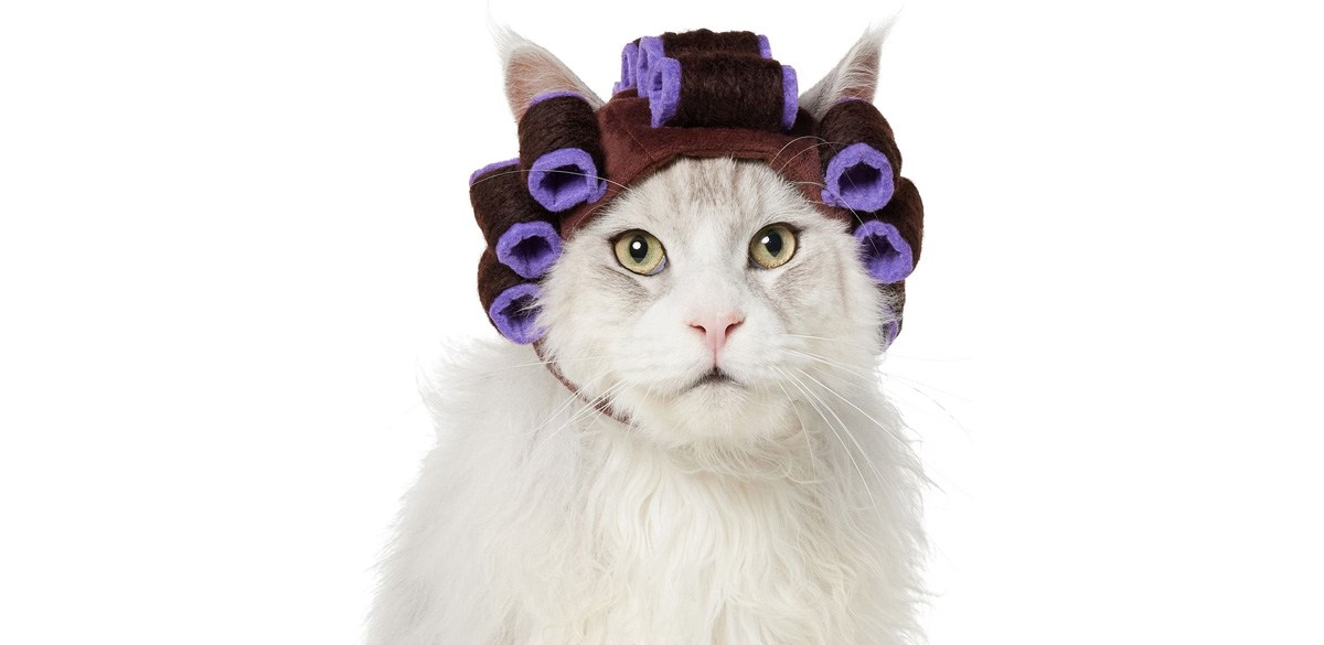 Frisco Beauty Parlor Spa Hair Curler Dog &amp; Cat Costume Accessory