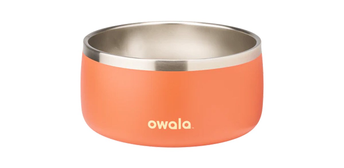 6 cup Pet Bowl in Trailside Tricks