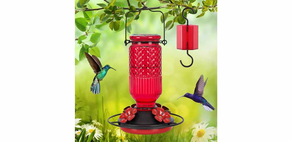 FEED GARDEN Glass Hummingbird Feeder