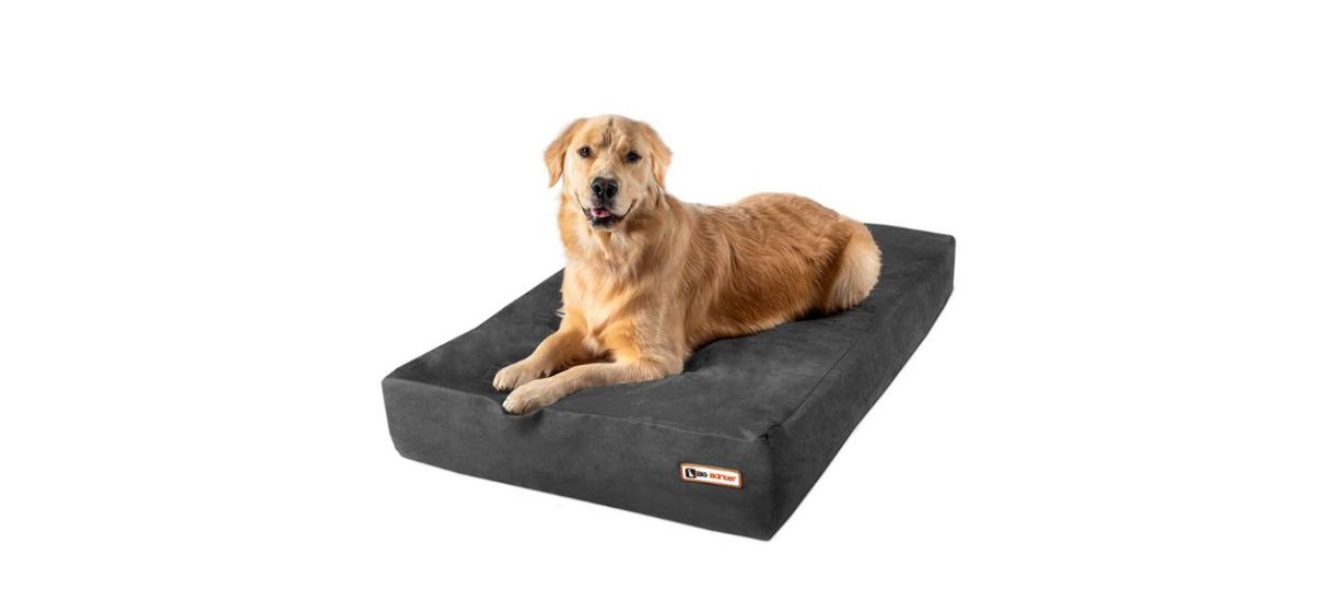 Best Big Barker Pillow Top Orthopedic Dog Bed
