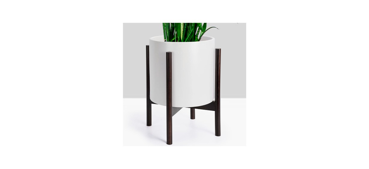 Best Fine Iris Plant Stand with Pot