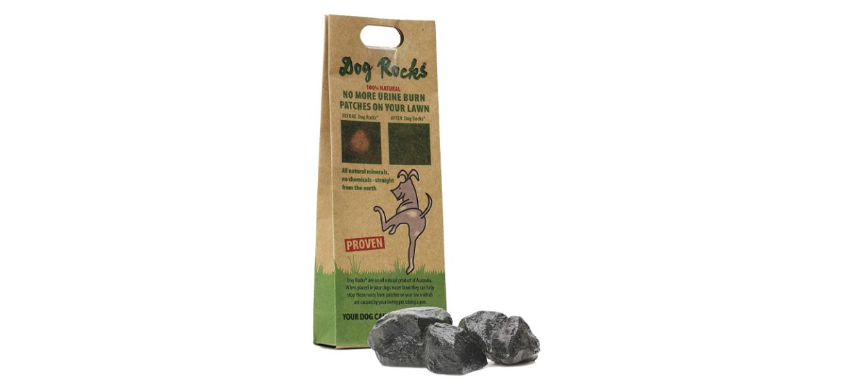 Best Dog Rocks