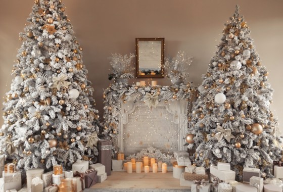 Best silver Christmas tree