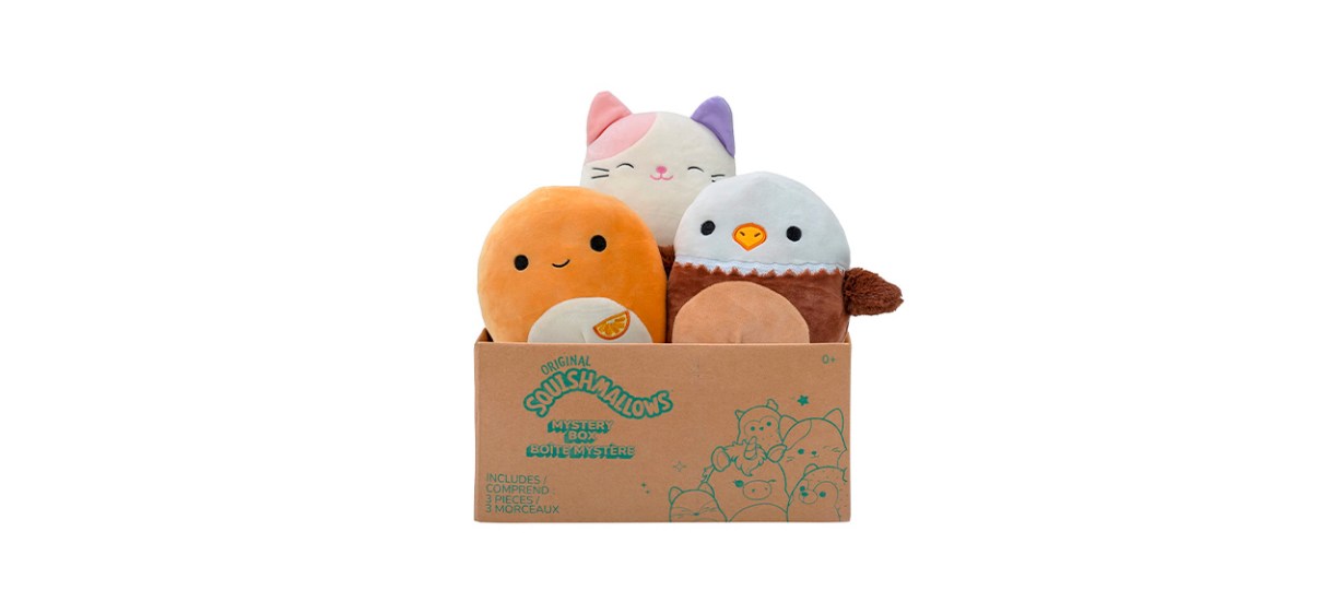 Best Squishmallows Mystery Box